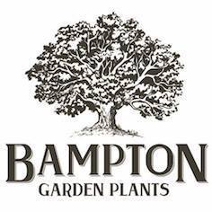 Bampton Garden Plants